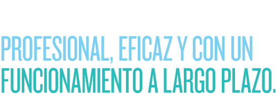 GARANTIZAMOS UN RESULTADO PROFESIONAL, EFICAZ Y CON UN FUNCIONAMIENTO A LARGO PLAZO.